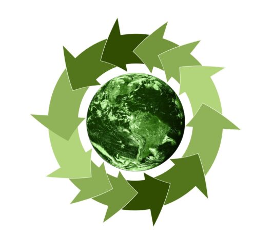 La Federazione Carta e Grafica presenta il Progetto Sostenibilità