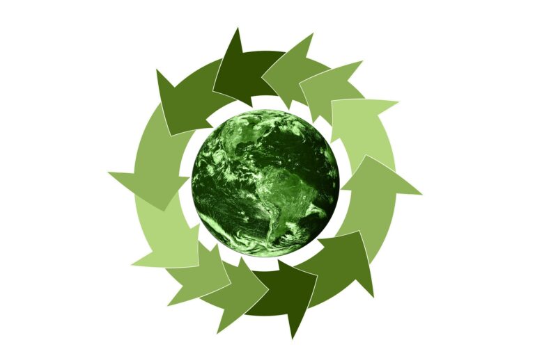 Federazione Carta Grafica e Comieco per la transizione ecologica dell’Italia