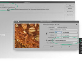 Come ridimensionare le immagini in Photoshop