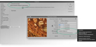 Come ridimensionare le immagini in Photoshop
