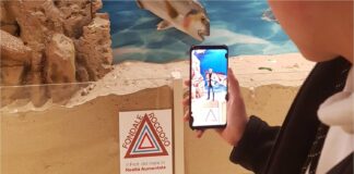 Il futuro della stampa