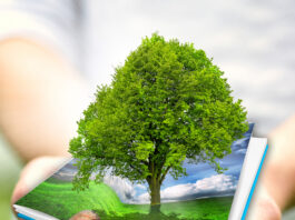 Indagine TwoSides sul ruolo della carta