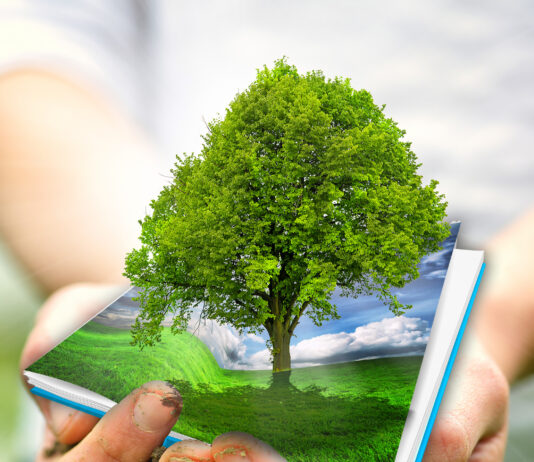 Prosegue con successo la Campagna Two Sides anti-greenwashing