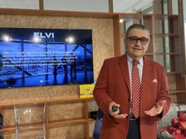 Guandong, la nuova strategia punta a un network di aziende complementari