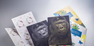 Heidelberg, le nuove potenzialità delle Versafire