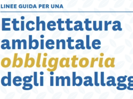 Etichettatura ambientale: le linee guida di Conai