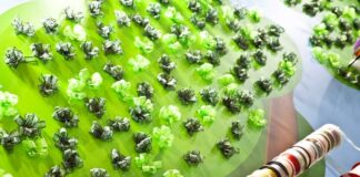 Innovazione e sostenibilità: i protagonisti di Packaging Première e PCD Milan