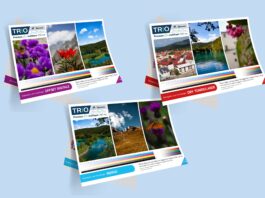 Guandong, il nuovo Trio a Viscom 2022