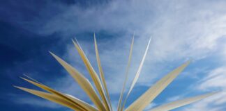 Il 69% dei lettori italiani preferisce leggere un libro stampato su carta. I risultati dell’indagine TwoSides Trend Tracker Survey 2023