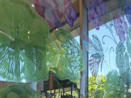 Guandong celebra i 15 anni del marchio proprietario Greenlife