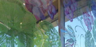 Guandong celebra i 15 anni del marchio proprietario Greenlife