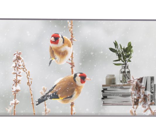 LG, digital signage ad alta trasparenza per spazi retail, culturali e professionali