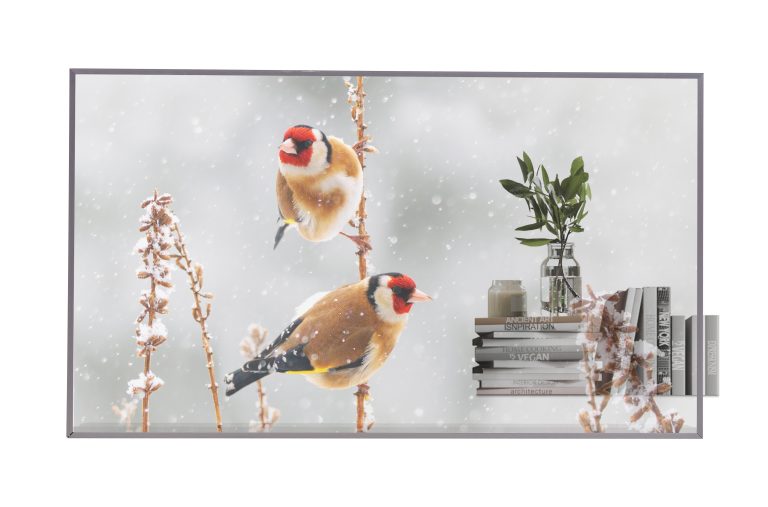 LG, digital signage ad alta trasparenza per spazi retail, culturali e professionali