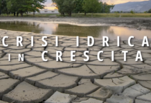 Sostenibilità oltre il business: Kyocera Document Solutions sostiene Acqua Foundation per garantire acqua pulita ai bambini in Tanzania