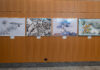 Ricoh Urban Art Contest 2026: a Milano la mostra con le opere finaliste