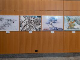 Ricoh Urban Art Contest 2026: a Milano la mostra con le opere finaliste