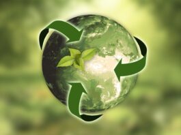 La campagna globale di Two Sides contro il greenwashing compie nuovi passi avanti
