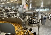 Redefining the Industrial Partner: ESG-Italy’s Journey from Distributor to General Contractor in Food Tech