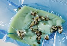 Vacuum pouches provide visible quality