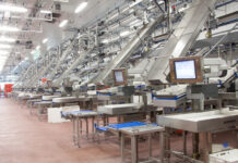 ERP as the center of digitalization