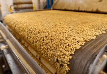 Intelligent drying systems