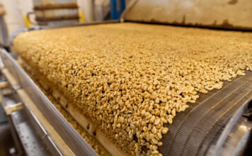 Intelligent drying systems