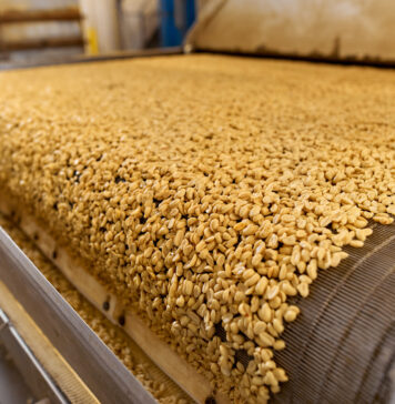 Intelligent drying systems