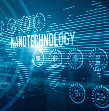 Nanomaterials as Food Sensors