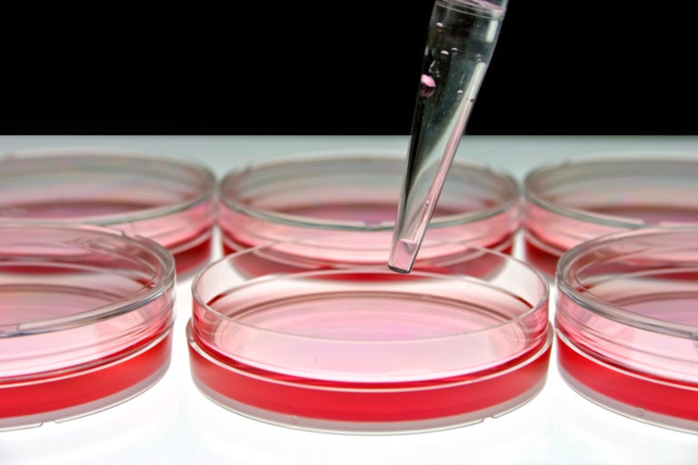 L’uso di tecnologie alternative «non animali» nelle valutazioni della sicurezza degli ingredienti cosmetici