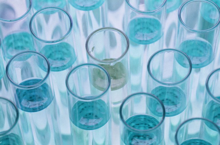 Formulazione contenente carnosina come ingrediente attivo e suo metodo di preparazione