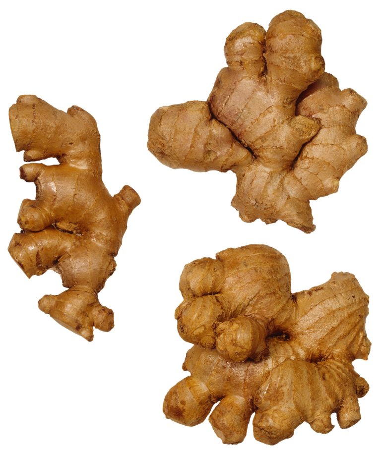 Oli cosmetici a base di sostanze lipofile estratte dallo zenzero e dal giacinto d’acqua