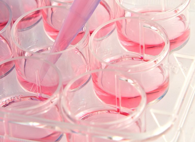 Alternativa alla sperimentazione animale nella valutazione della fototossicità