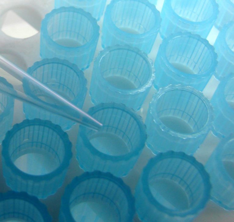 Interferenti endocrini