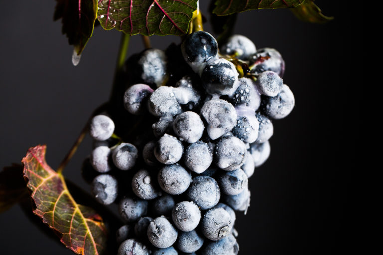 Dal vino per un effetto lifting istantaneo