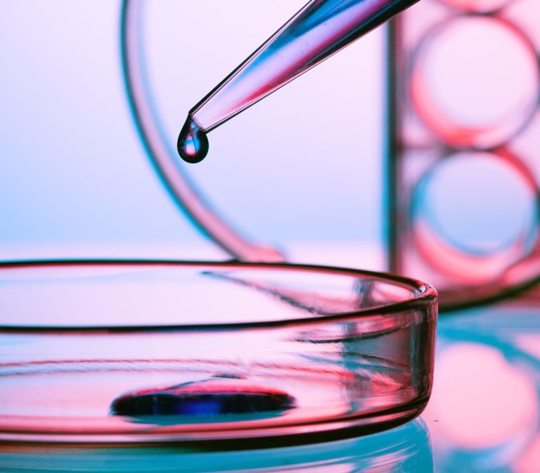 Efficacia antimicotica di cinque formulazioni cosmetiche