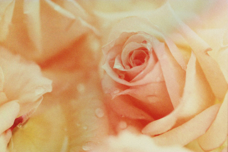 Il profumo: Scienza e Arte