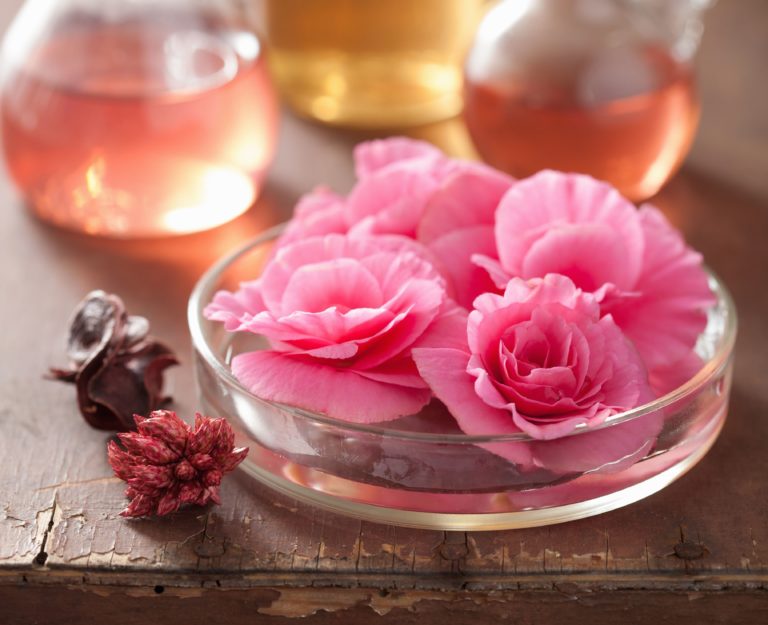 Industria del profumo verso la sperimentazione alternativa all’uso animale