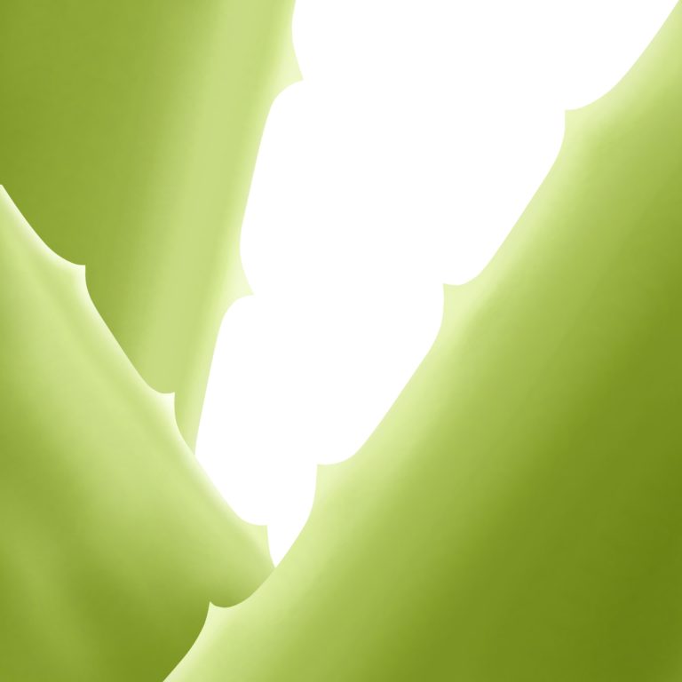 Meccanismo di protezione contro i raggi UVA dell’estratto di Aloe Vera