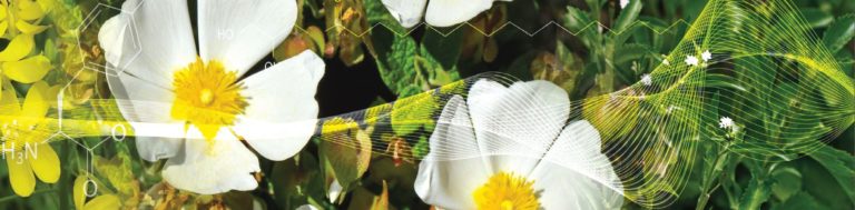 Una protezione ai mitocondri