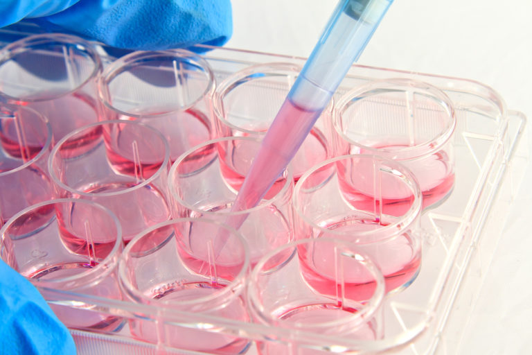 REACH: indirizzarsi ai test alternativi