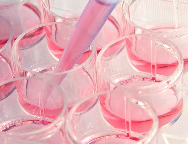 Skinobs: piattaforma web per test su prodotti cosmetici