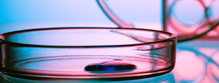 Dermo bioaccessibilità e prodotti cosmetici