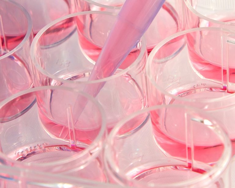 Non solo test in vitro