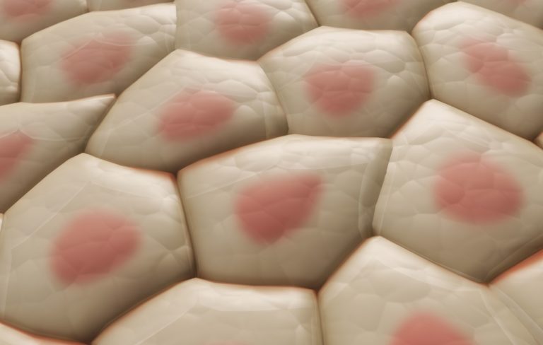 Film a base di citrato di chitosano neutralizzato: composizione innovativa