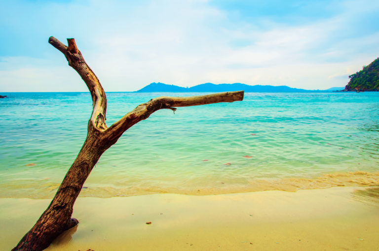 Italia ed Europa in difesa del mare