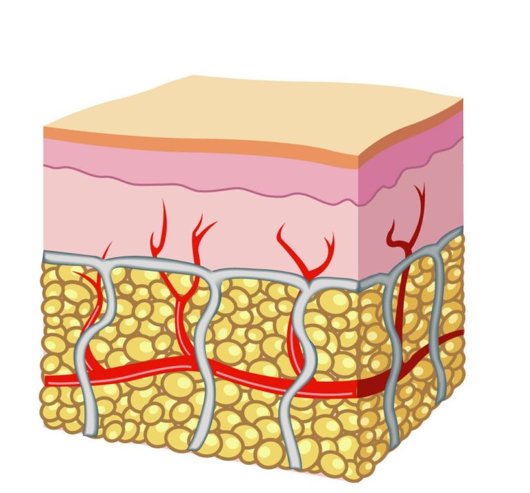 Agenti biopolimerici per il trattamento delle rughe