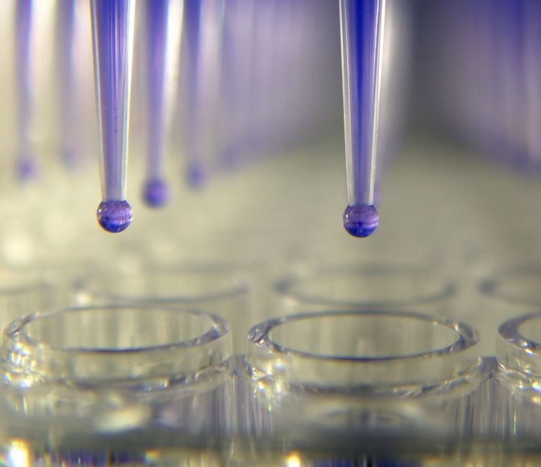 Cina: apertura ai test animal-free