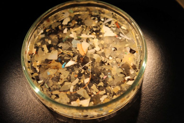 La presenza di microplastiche nel Mediterraneo occidentale