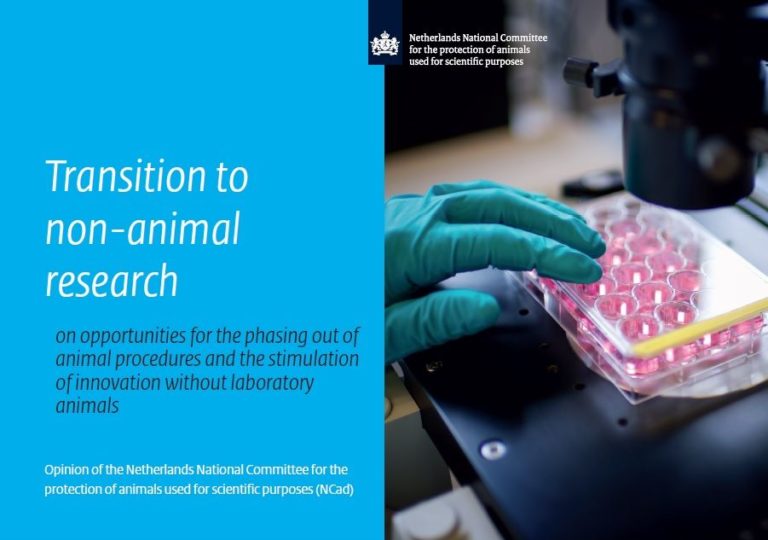 Strategia olandese per la transizione da metodi animali a quelli animal-free