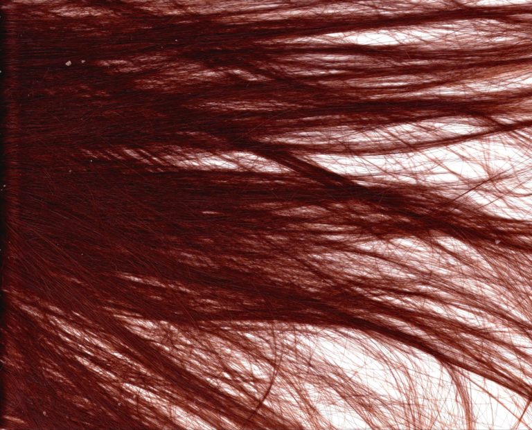 Il perché dei capelli «fini» nelle donne caucasiche